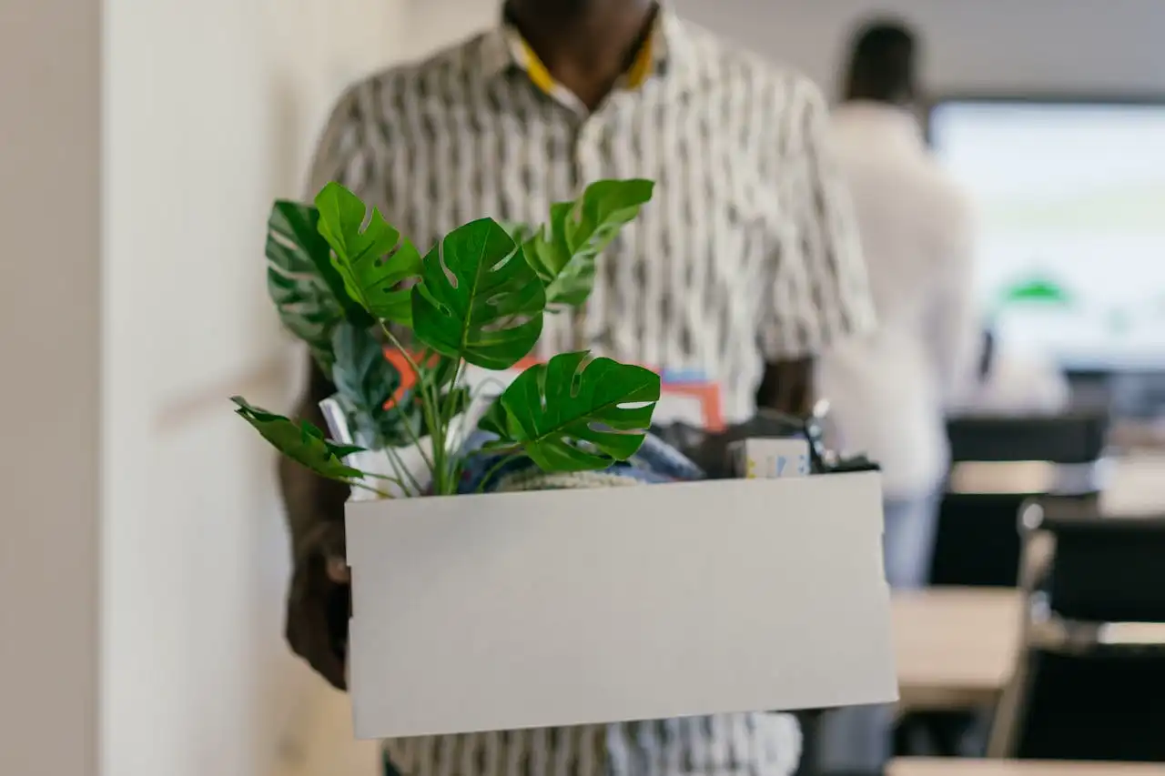 Plante soigneusement emballée dans un carton avec du papier bulle pour un transport sécurisé lors d'un déménagement