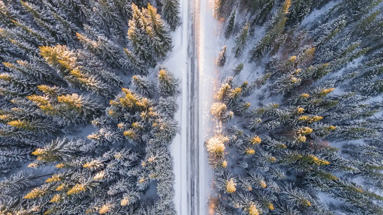 Déménagement en hiver - quelle est la meilleure saison pour déménager